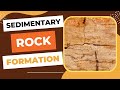 Exploring Sedimentary Rock Formation Processes