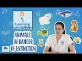 Impact of Human Actions on Wildlife