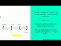 Ecological Succession Concepts