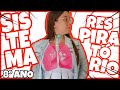 Sistema Respiratório e Funções