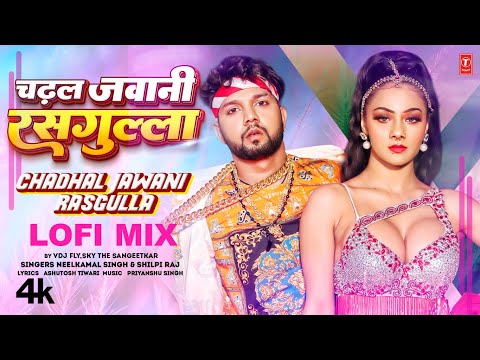 Lofi Mix By VDJ FLY,SKY THE SANGEETKAR चढ़ल जवानी रसगुल्ला | #Neelkamal Singh #Shilpi Raj #Namrita