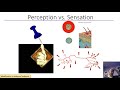 Understanding Perception and Sensation