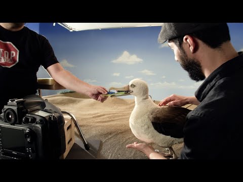 The Making of THE FISH by PES // Corona x Parley