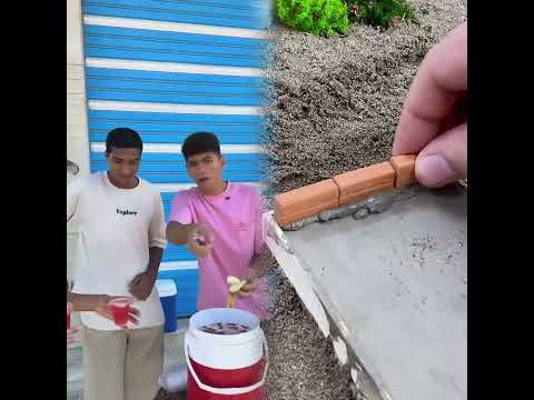 يوم ميلاد حبيبي …♥️🥰#مولد_النبوي #محمد #رسول_الله #مسلم #الله