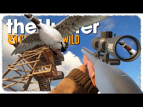 Hunting from LOOKOUT TOWERS (ᶦᵗ'ˢ ʳᵃᶦⁿᶦⁿᵍ ᵇᶦʳᵈˢ) | theHunter: Call of the Wild