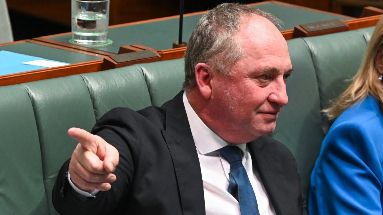 Barnaby Joyce criticises Labor’s 2030 emission reduction targets