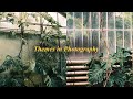 Exploring Themes in Photography