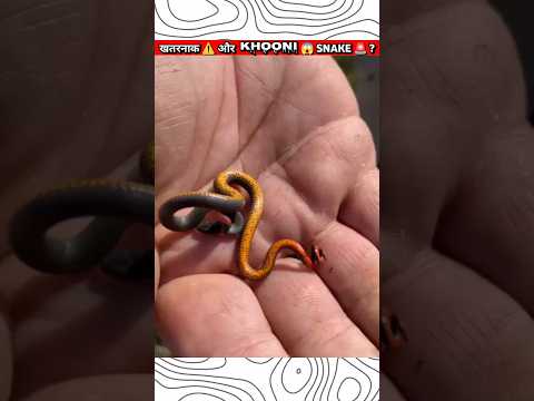 WORLDS ⚠️ SMALLEST  ? SNAKE ?  ?⁉️#shorts#youtubeshorts#viral#funny#sports#games#new#fun