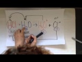 Exploring Conjugate Pairs in Mathematics