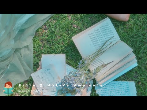 「無廣告版」沉浸在大自然中最放鬆讀書 ＆ 工作音樂 Relax Music ＆ Forest Nature Ambience