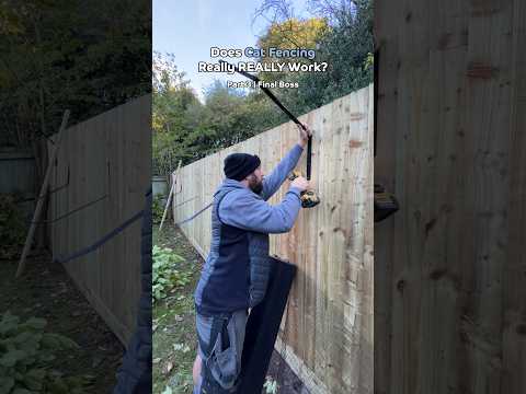 Purrr-haps this will finally convince you? 🐈🌿 #catsafety #catfencing #catproofgarden