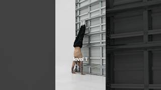 LEVEL 1: You can get up, but you can’t stay up. This stage is all about owning your handstand.
