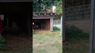 Nordrhein-Westfalen August 2026
