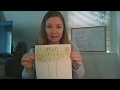 Chlorophyll Painting and Plant Types