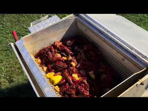 I boiled crawfish 🦞for my Cali Family