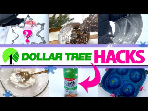 ❄️NEW Dollar Tree DIY HACKS! RUN to Dollar Tree, you’ll NEED to grab these in 2025!