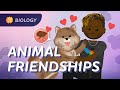 Exploring Interspecies Interactions in Community Ecology