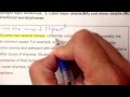 Understanding Major and Minor Details