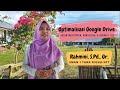 Google Drive File Management and Sharing