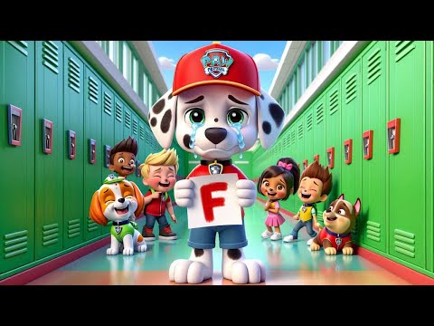 Paw Patrol Ultimate Rescue | Marshall's Low Score Makes Him Criticized by His Friends!! | Rainbow 3