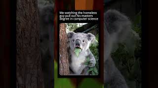 Funny Memes