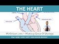 Cardiovascular System Concepts