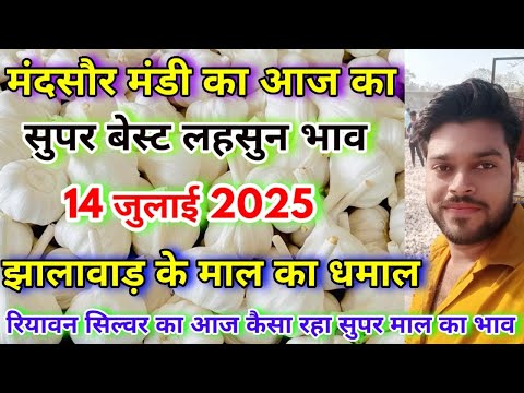 आज लहसुन की सुपर क्वालिटी का भाव मंदसौर मंडी से Live | Best Quality Garlic Wholesale Market Prices