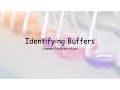 Buffer Systems and Their Functions