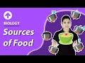 Animal and Plant Products Identification