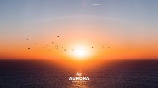 AURORA Riddim | Reggae Roots Romantico Beat Instrumental | Relaxing Calm Reggae Type | 2025
