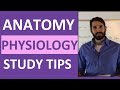 Essential Study Strategies for Anatomy and Physiology Success