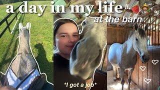 My day at the Barn 💕
