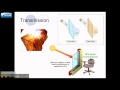Properties and Behavior of Light