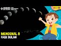 Moon Phases and Their Characteristics