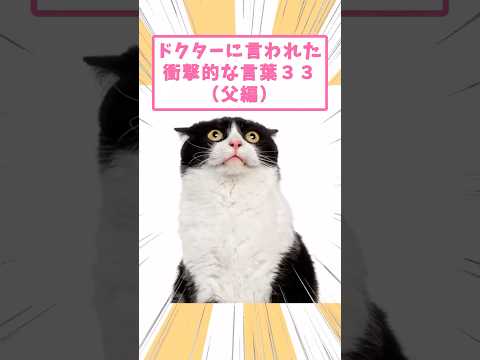 ドクターに言われた衝撃的な言葉33(父編) #猫 #猫のいる暮らし #猫動画 #ねこ #可愛い #ペット #かわいい #2ch