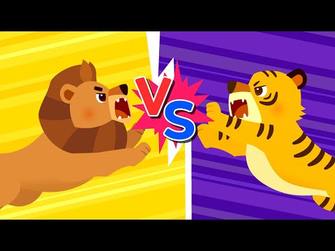 León vs. Tigre🦁🐯 | ¿Quién es el Rey de la Selva? | Canciones Infantiles | Lotty Friends Español