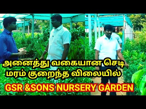 GSR & SONS NURSERY GARDEN  KIRUSHNAKIRI | Nursery plant cultivation | Village thamizha village