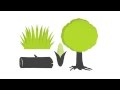 Biomass Energy and Environmental Impact
