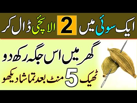 Aik Sui Mein 2 Elaichi Dal Kar | Ghar Mein Is Jaga Rakho | Faide Dekh Kar Heran Ho Jao Ge