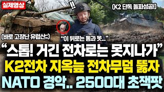 “전차무덤인데···” 예상못한 K2전차의 질주에 폴란드 결국 또! 계약, NATO 사령관 한마디에 동유럽 3개국 2500대 K2 무적연합대대 현실화ㄷㄷ