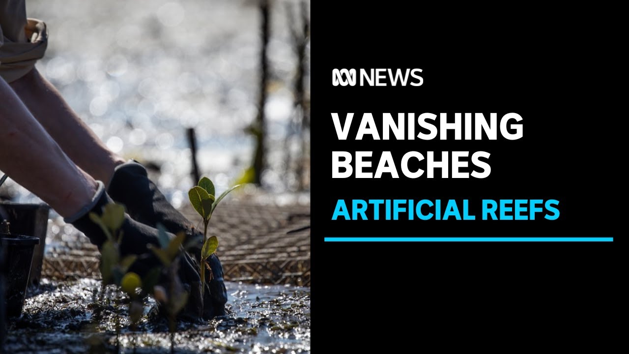 Artificial Reefs Help slow Erosion and Grow Mangroves
