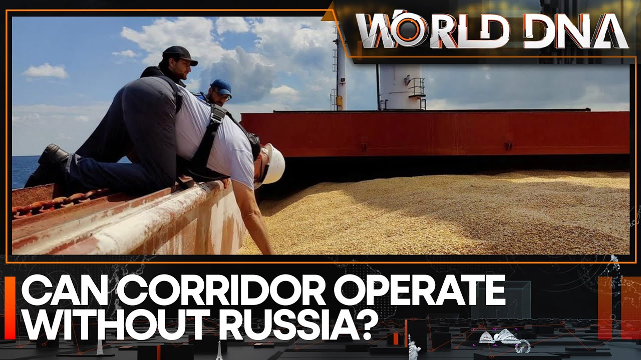 Explained: What is the Ukraine grain deal?
