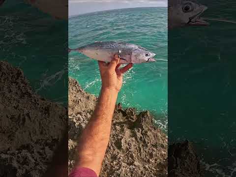 How I Rig My Bait #fishing