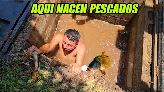 Hueso atrapa con sus manos los pescados mas grandes.