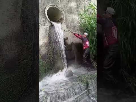 Pegando peixe no esgoto