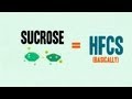 Understanding High Fructose Corn Syrup