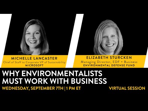 Why Environmentalists Must Work With Business