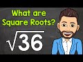 Exploring Square Roots and Their Applications