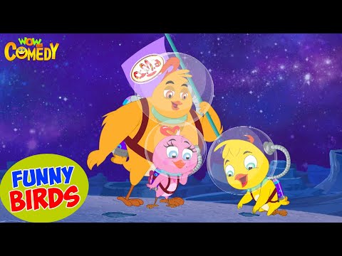 Funny Birds | 211 | Eena Meena Deeka | Cartoons For Kids | Comedy Cartoon For Kids #cmedy