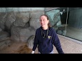Animal Enrichment Programs and Practices